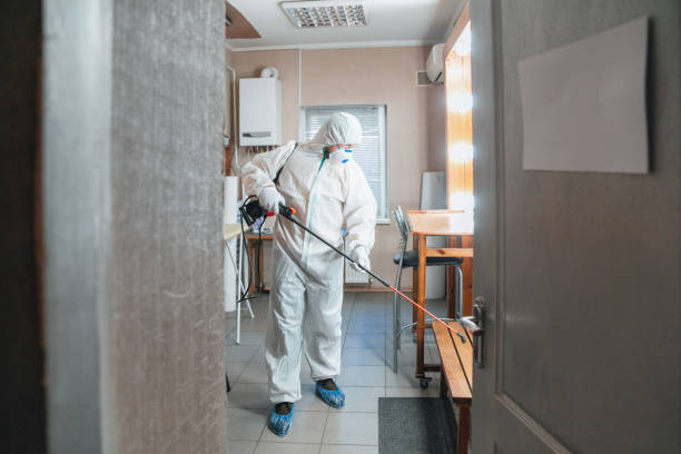 Mold Remediation for Rental Properties in Edgewood, KY